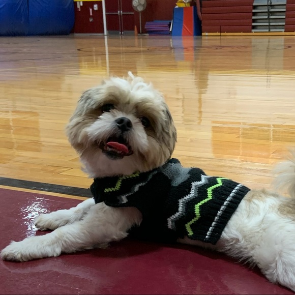 Meet your Posher, Jaime - Picture 1 of 1